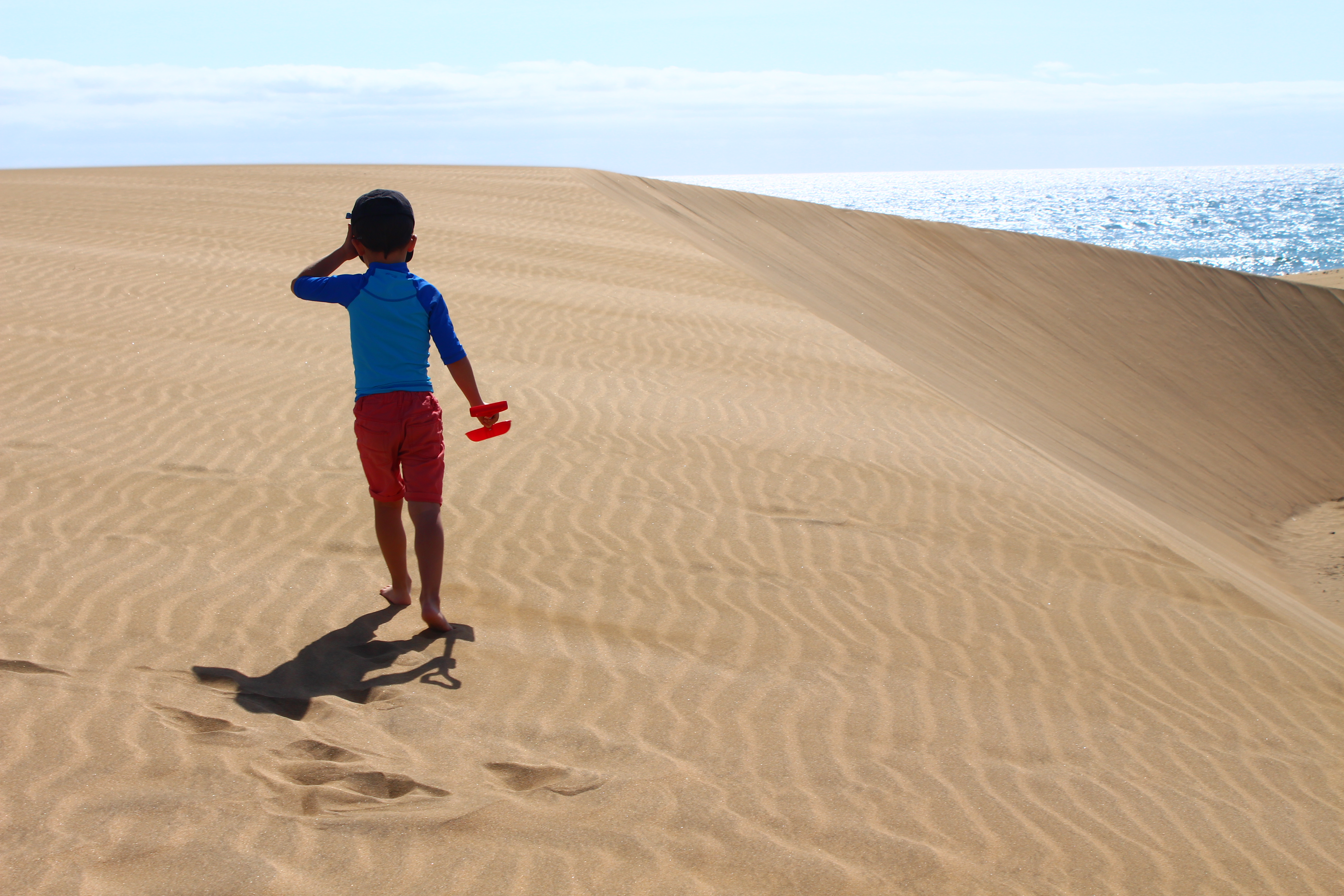 Pulseira da PSP “Estou Aqui”: o que é e como solicitar