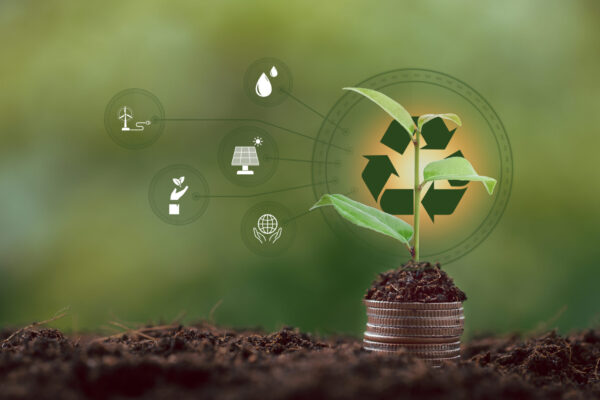 2023 mais sustentável – oito dos muitos hábitos que pode adotar já